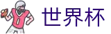 国际足联世界杯买球软件 | 管理门户入口和赛事中心